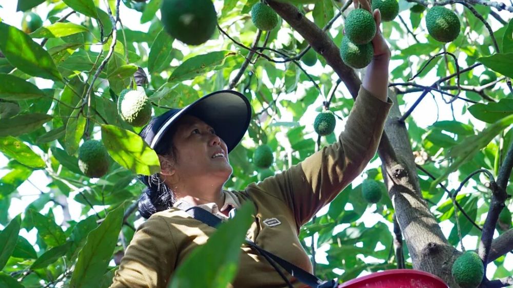 1762221979515976.jpg 22.jpg