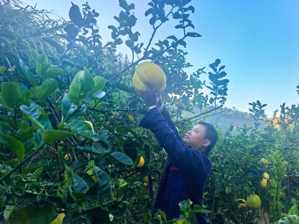 1765506186575029.jpg 41.jpg