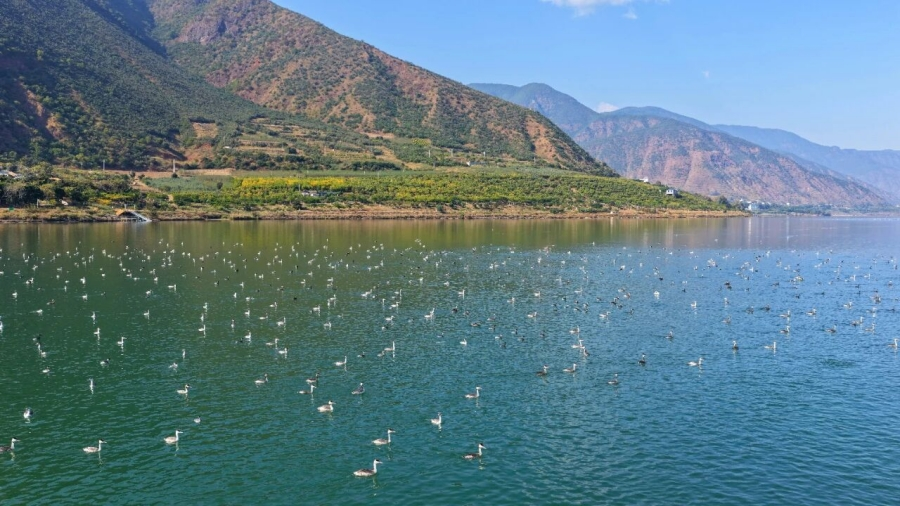 永胜:程海之治绘就高原湖泊生态新画卷 - 丽江网