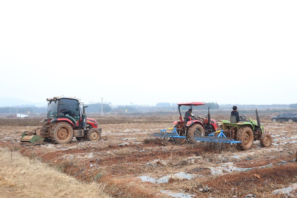 殘膜回收機(jī)正在工作。范梅 攝