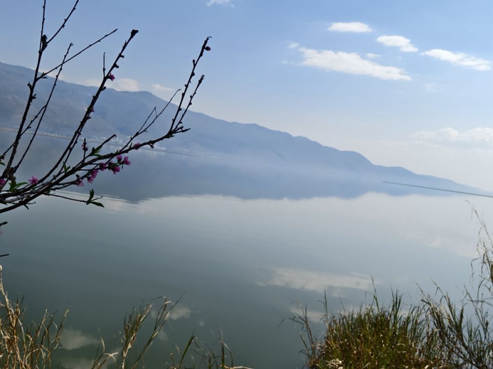 新春走基层｜山朝水朝，不如人来朝——异龙湖畔感受高原湖泊治污成果