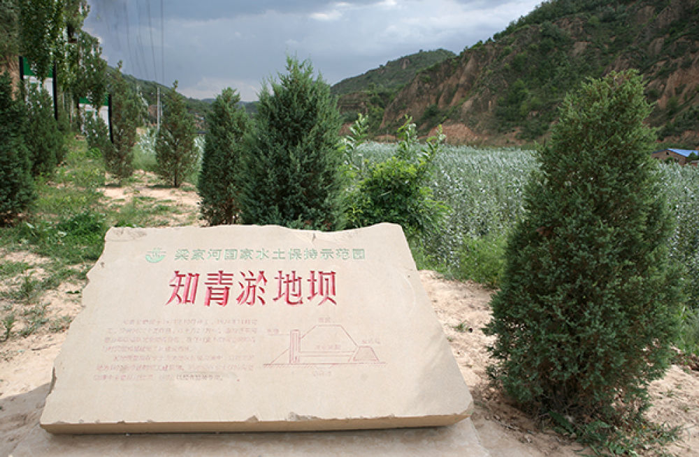 圖為陜西省延安市延川縣文安驛鎮(zhèn)梁家河村知青淤地壩。