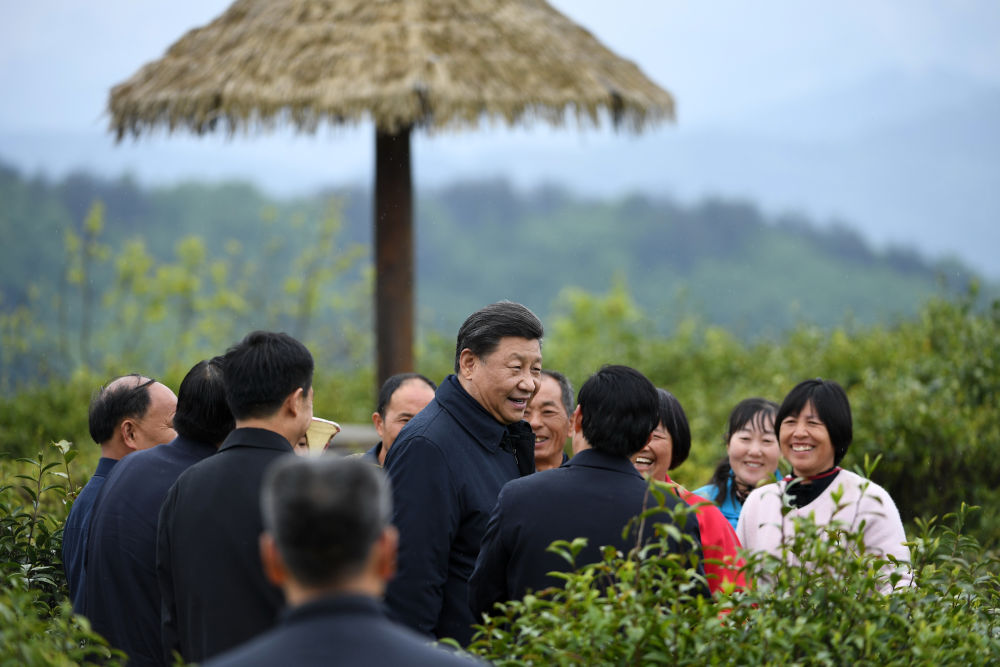 2020年4月21日,习近平在安康市平利县老县镇蒋家坪村女娲凤凰茶业现代示范园区,同茶农们亲切交谈。