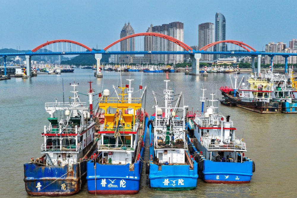 2026年5月28日,浙江舟山,沈家门渔港内数千艘渔船锚泊港内,连绵成片。