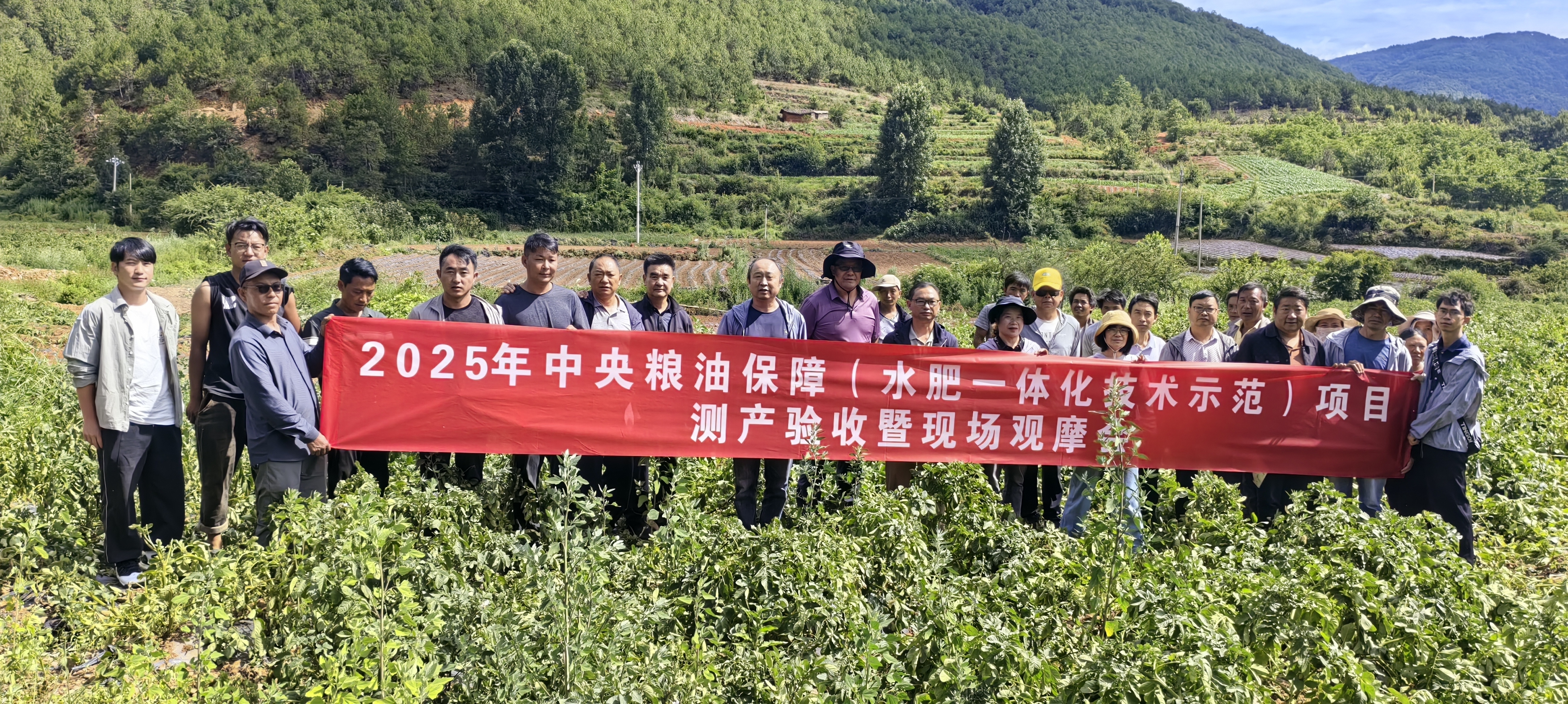 永胜西马场村：早春马铃薯迎丰收 科技赋能“薯”光无限__永胜西马场村：早春马铃薯迎丰收 科技赋能“薯”光无限